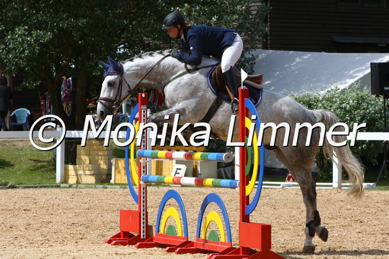 006M6829_Quietel_Springpferde L.JPG